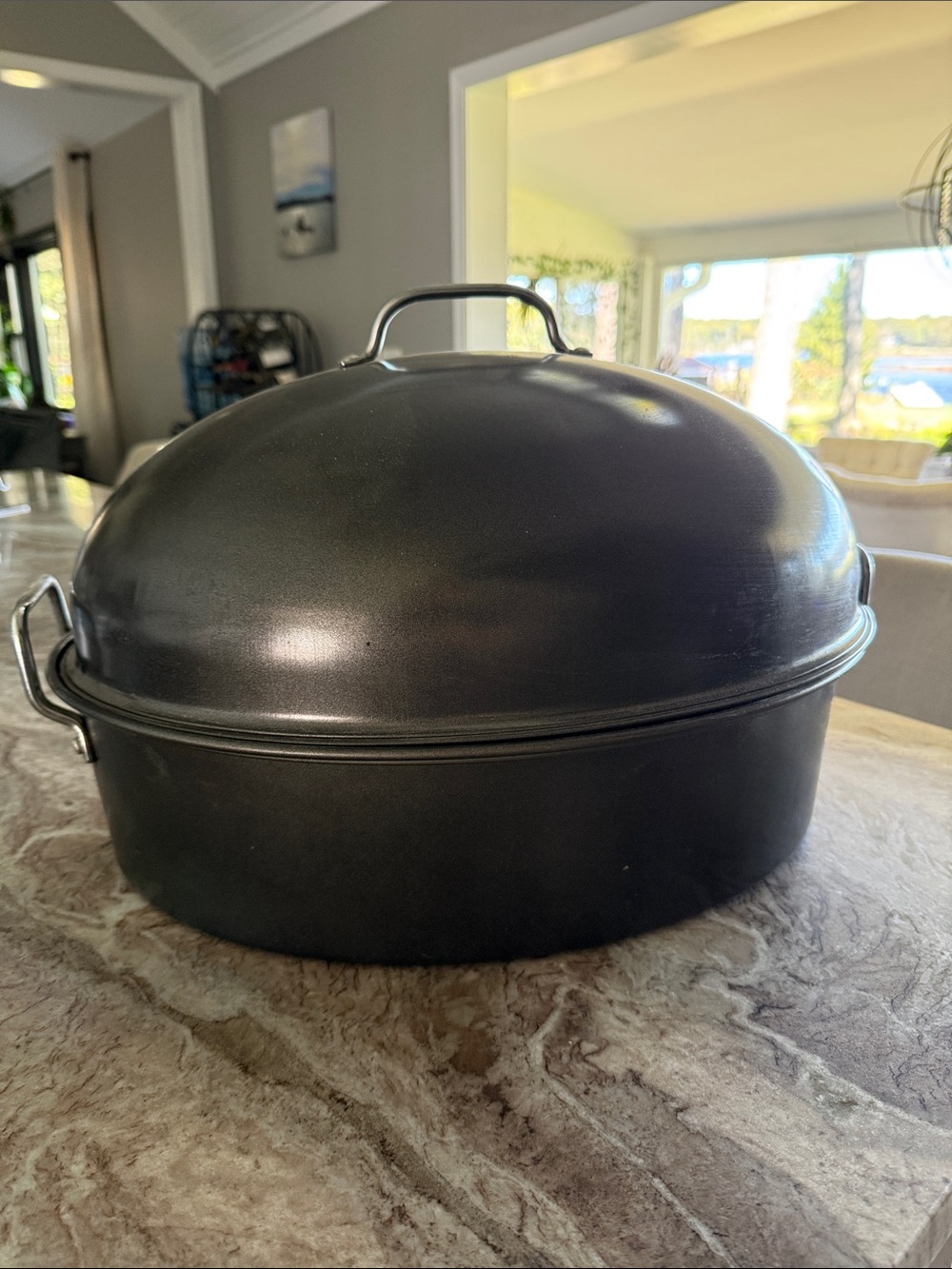 Black Dome Oneida Roaster with Lid - Home Kitchen